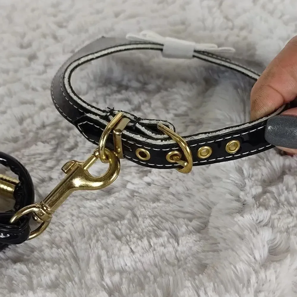 Dog Collar & Leash 12